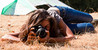 Filename=vassy-photo.jpg
Filesize=375KB
Dimensions=736x375
Date added=Sep 12, 2011 vassy-photo.jpg