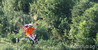 Filename=6112.jpg
Filesize=193KB
Dimensions=736x375
Date added=Jul 05, 2010 6112.jpg