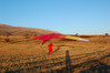 Filename=DSC_3087azzzzzzzzzzzz.jpg
Filesize=206KB
Dimensions=900x598
Date added=Nov 13, 2010 DSC_3087azzzzzzzzzzzz.jpg