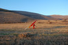 Filename=DSC_3111.jpg
Filesize=207KB
Dimensions=900x598
Date added=Nov 13, 2010 DSC_3111.jpg