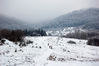 Filename=DSC_4692.JPG
Filesize=277KB
Dimensions=1024x681
Date added=Dec 14, 2009 DSC_4692.JPG