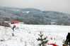Filename=DSC_4832.JPG
Filesize=244KB
Dimensions=1024x681
Date added=Dec 14, 2009 DSC_4832.JPG