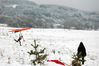 Filename=DSC_4848.JPG
Filesize=255KB
Dimensions=1024x681
Date added=Dec 14, 2009 DSC_4848.JPG