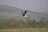 Filename=DSC_0332.jpg
Filesize=347KB
Dimensions=1024x680
Date added=Apr 17, 2012 DSC_0332.jpg