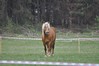 Filename=DSC_0415.jpg
Filesize=443KB
Dimensions=1024x680
Date added=Apr 17, 2012 DSC_0415.jpg