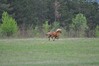 Filename=DSC_0425.jpg
Filesize=547KB
Dimensions=1024x680
Date added=Apr 17, 2012 DSC_0425.jpg